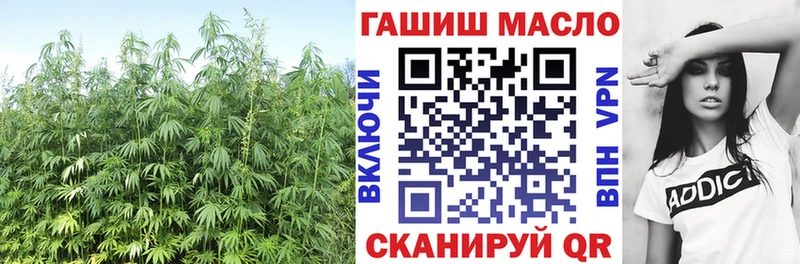 Дистиллят ТГК концентрат  OMG зеркало  Камышин  магазин продажи  